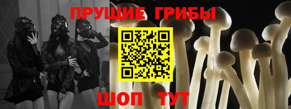 Серпухов  Псилоцибиновые грибы Psilocybine cubensis  Вход с VPN  Псилоцибиновые грибы Magic Shrooms 